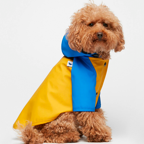 Impermeable Sarah Azul y Amarillo