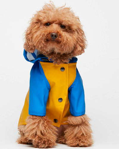 Blue and Yellow Sarah Raincoat