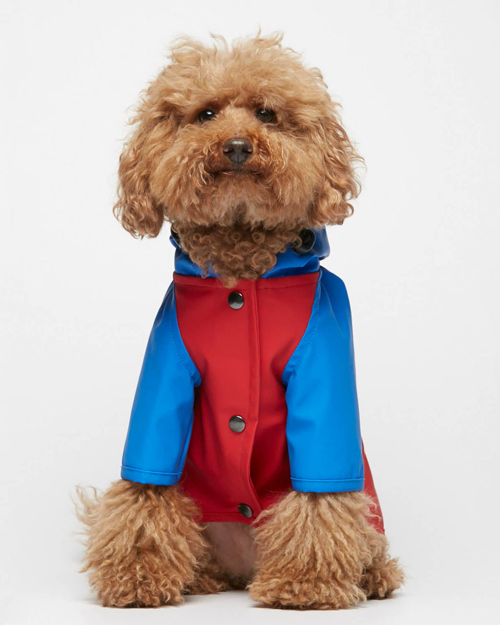 Sarah Waterproof Jacket Blue and Red