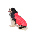 Scooter Bobby Dog Coat