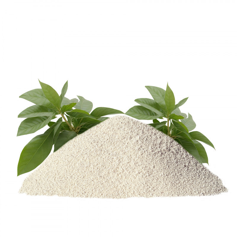 Soft Cat Yucca arena aglomerante premium