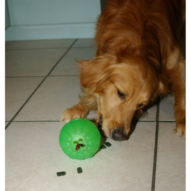 Chew ball (Fun ball) Starmark