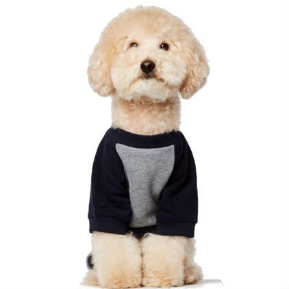 Sudadera Blinky
