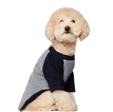 Sudadera Blinky
