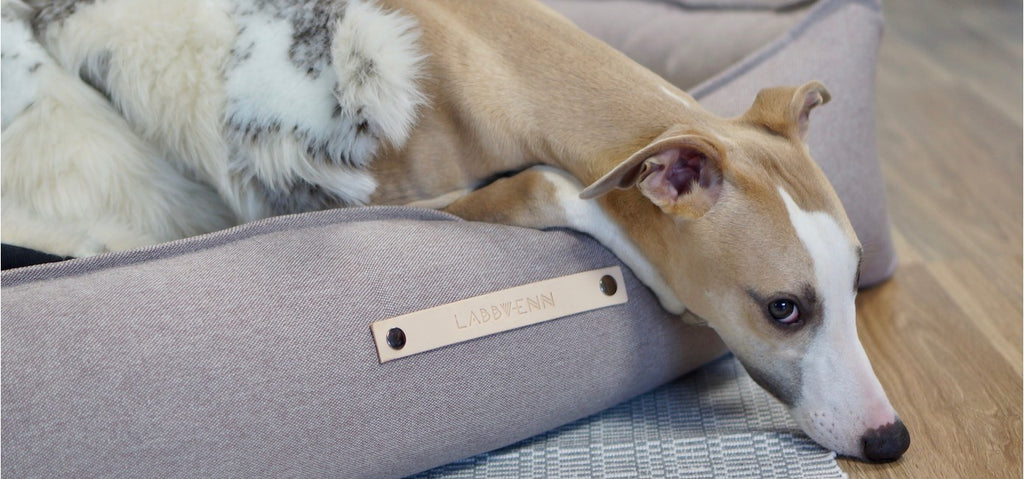 TÖVE LABBVEN Dog Bed