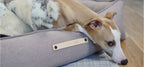 TÖVE LABBVEN Dog Bed