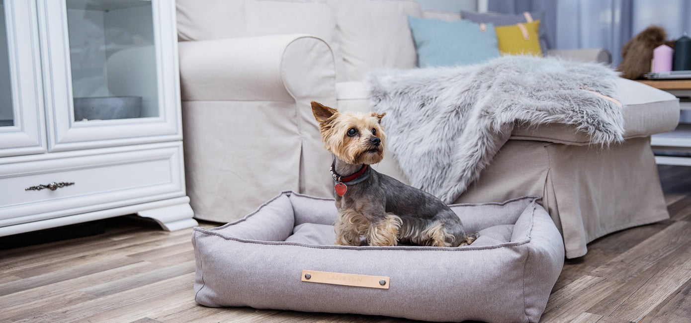 Cama para Perros TÖVE LABBVEN