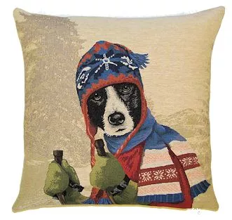 Ski dog border collie