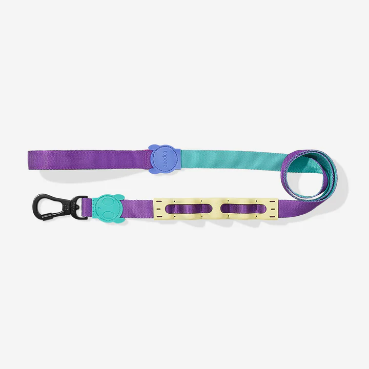 Ruff Leash 2.0 SHOCKWAVE