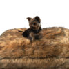 Cojín Animal Fur Lord Lou