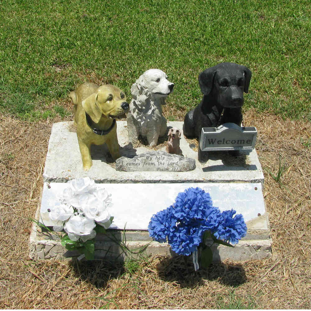 Málaga también tendrá un cementerio para mascotas | ARISTOPET
