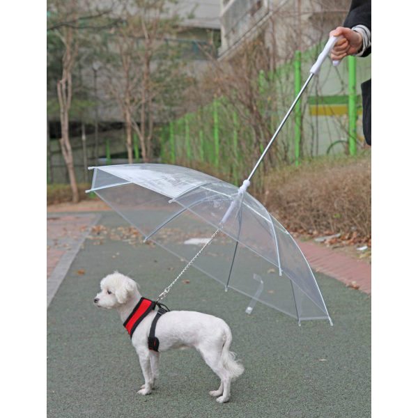 Paraguas perros