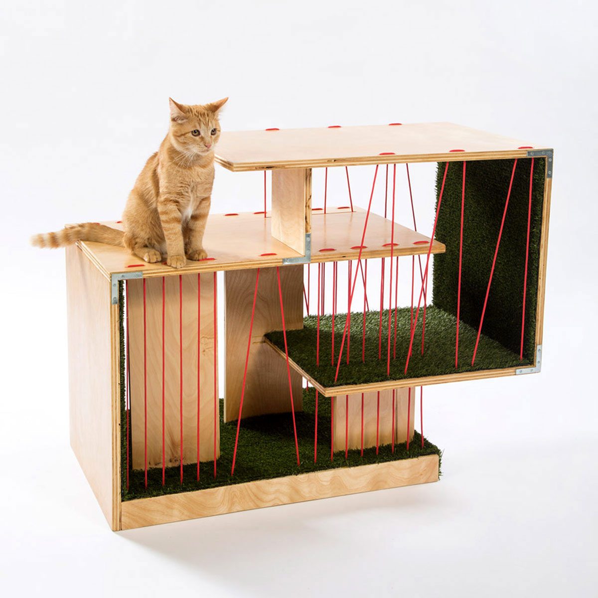casa-arquitectos-gatos-aristogatos-3
