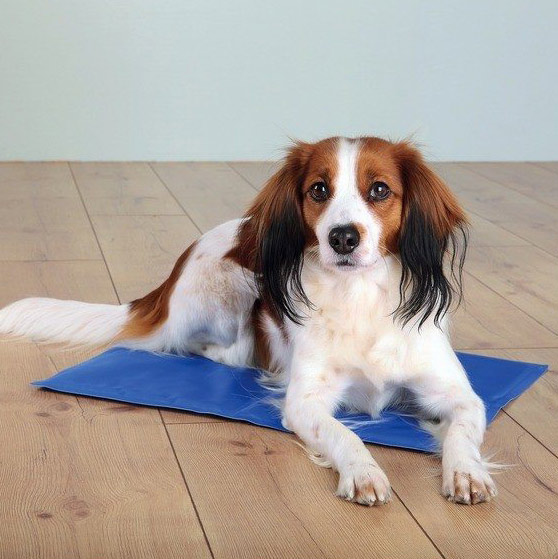 alfombrilla-refrescante-azul-2