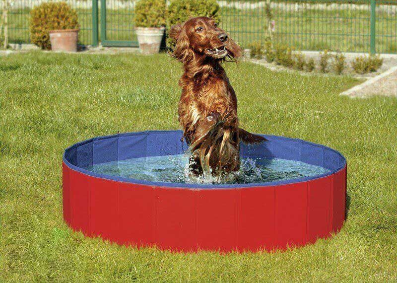Doggy-Pool-Piscina-AzulRojo