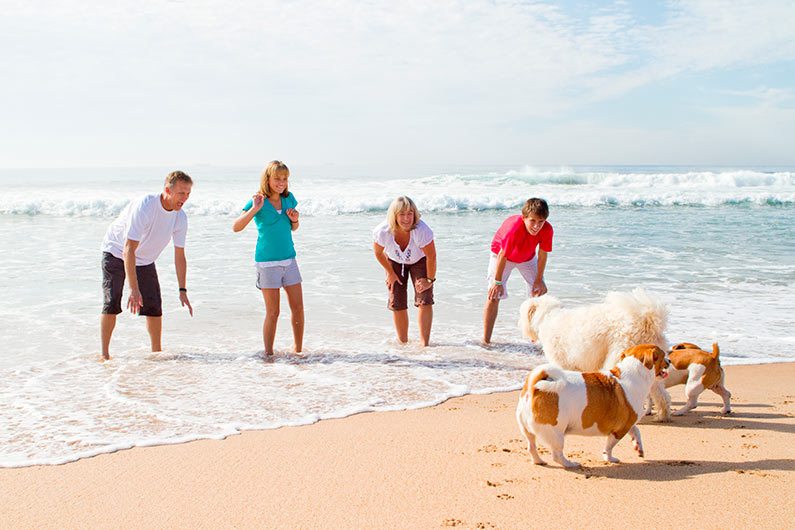 familia-perros-playa