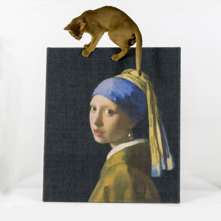 rascador-cuadro-vermeer