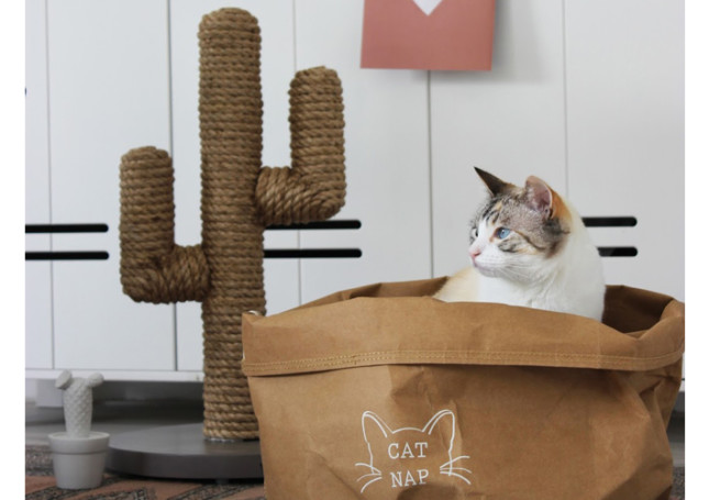 Gato Rasca El Propietario para Evitar Daños A Los Muebles Rascador De Gato Rascador De Cactus Proteger A Las Pequeñas Patas del Gato