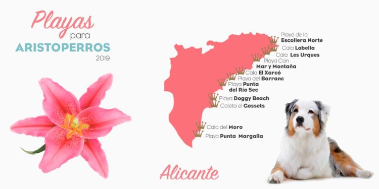 Playas para perros 2019: ALICANTE