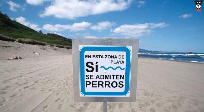 Playas para perros 2019: Asturias