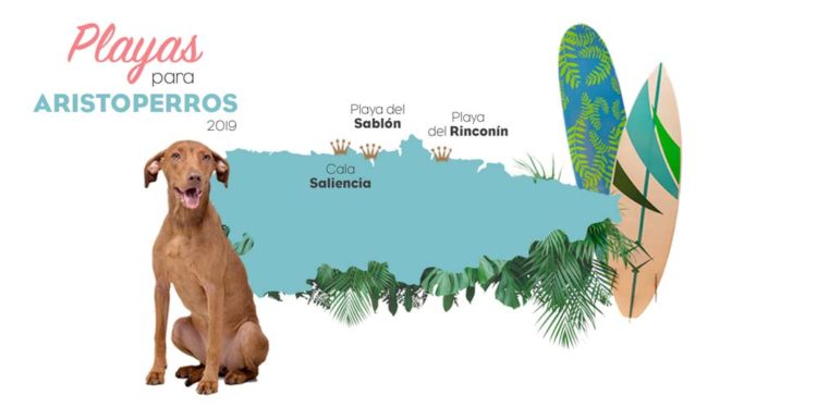 playas para perros 2019: ASTURIAS