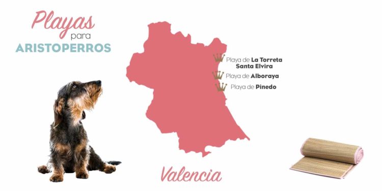 Playas para perros 2019: VALENCIA