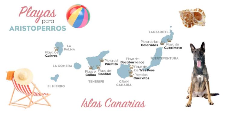 Playas para perros 2019: ISLAS CANARIAS