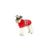 Jersey para Perro navideño Snowball Sweater