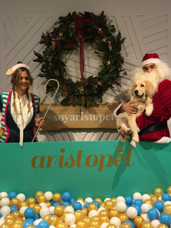 Aristopet: el mejor evento del 2018