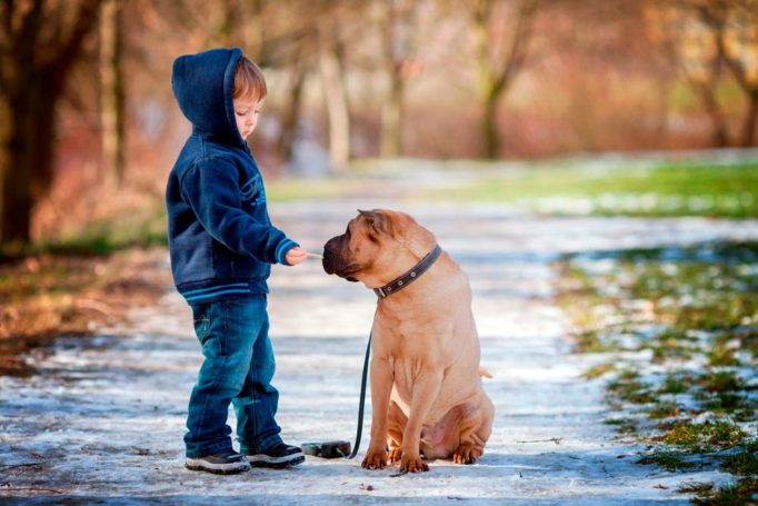 Consejos para que tu hijo no tenga miedo a los perros