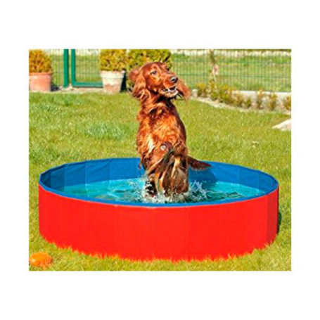 Tipos de piscina para perros