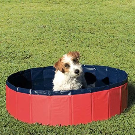 Tipos de piscina para perros