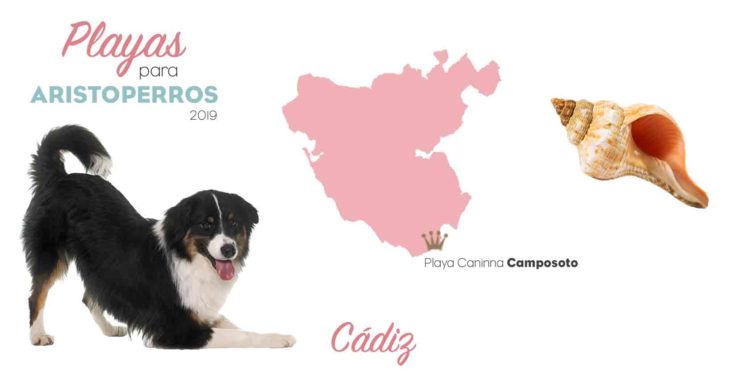 Playas para perros 2019: Cádiz