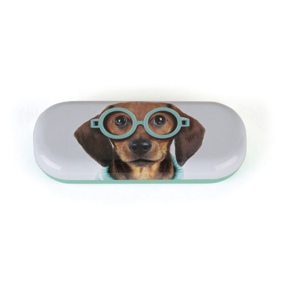 funda para gafas perro con gafas